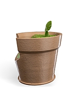 Monstera Vase Wall Light