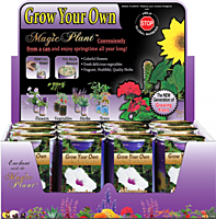 Morning Glory Flower Growing Kit