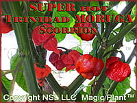 Red Trinidad Scorpion Pepper Flakes