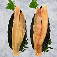 Murrel / Koramean/ಮೂರಲ್ ಕಳ್ಳಿ