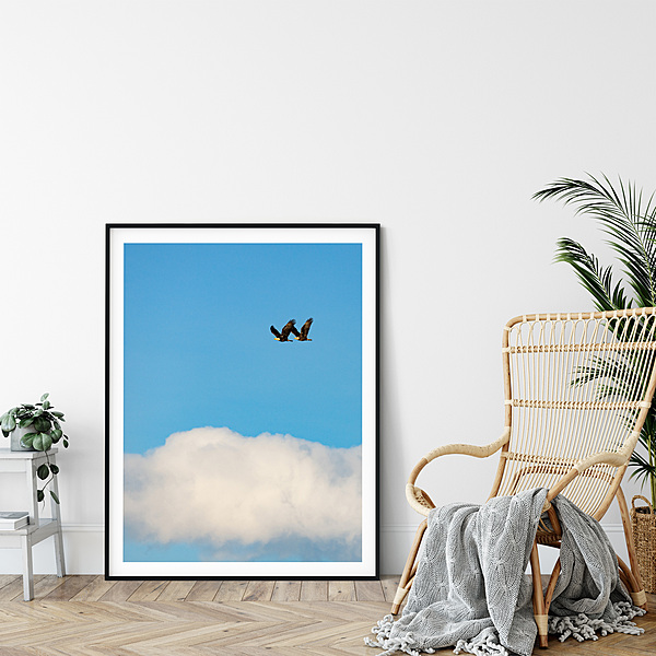 CB Photography American Eagle Valkyrie