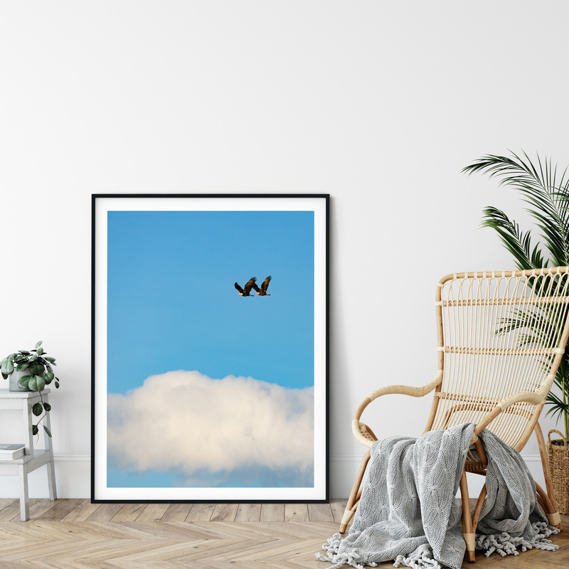 CB Photography American Eagle Valkyrie