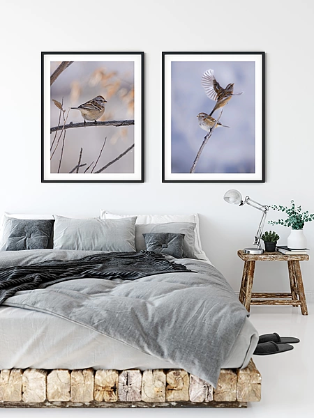 CB Photography American Tree Sparrow On Winter Branch