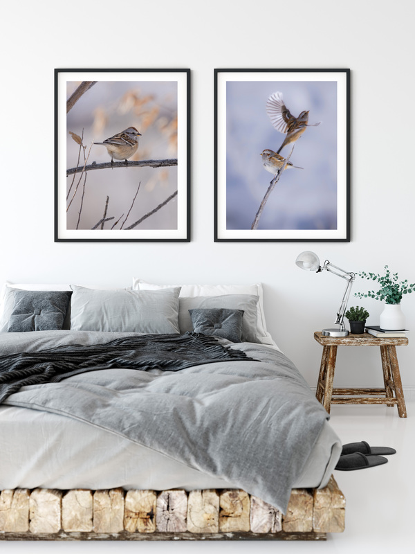 CB Photography American Tree Sparrow On Winter Branch