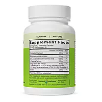 Brain Support