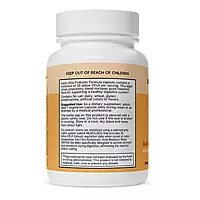 Ultra Probiotic Formula