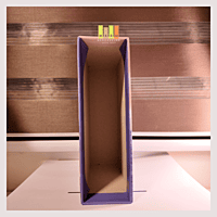 Costa Leona Series 9-10 (BOOK BOX)