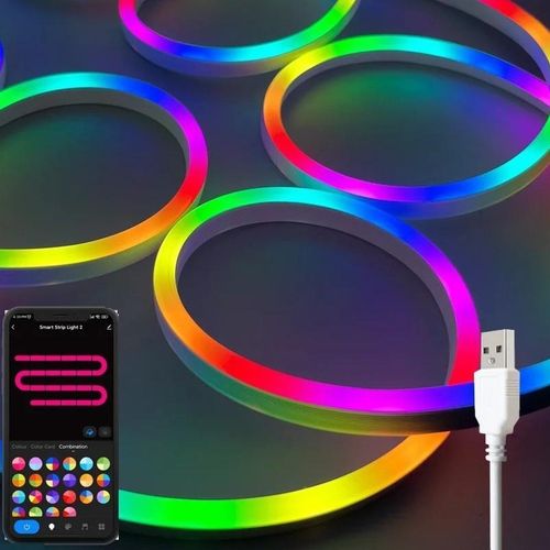 NEON LIGHT WITH REMOTE CONTROL - 5METER