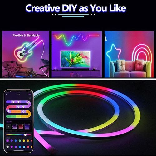 NEON LIGHT WITH REMOTE CONTROL - 5METER