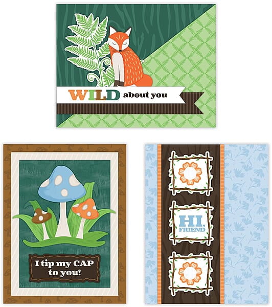 NSD 2024 Trio Card Kit NSD 2024 Trio Card Kit