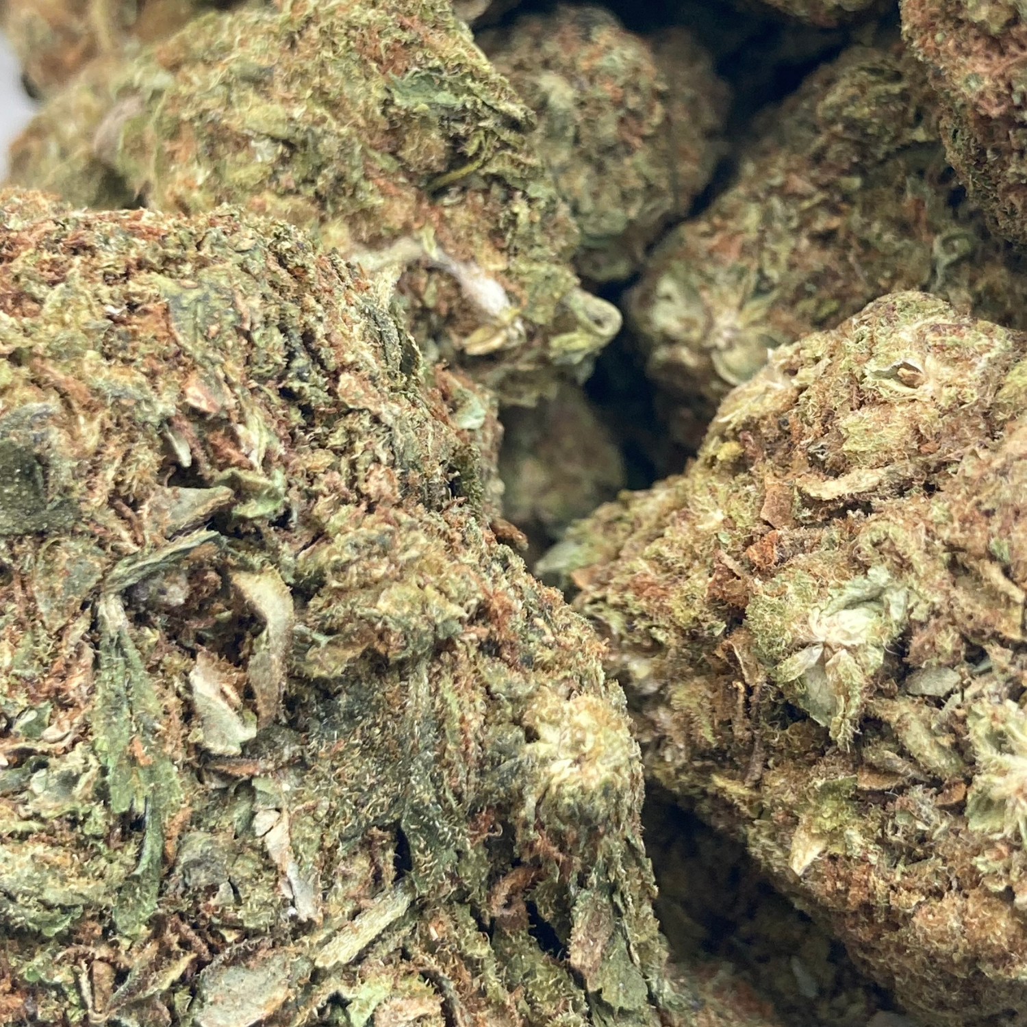 Neville’s Haze Greenhouse Exótica