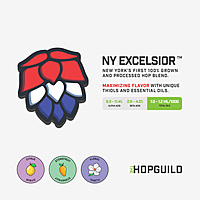 NY Excelsior NY Excelsior