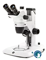 NexiusZoom (EVO)