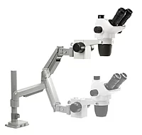 NexiusZoom (EVO)