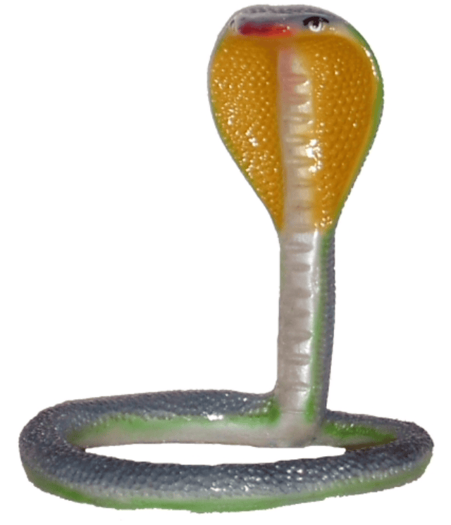 Naag/Snake