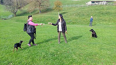 20.01. - 21.01.2024 Natural Dogmanship® Basis-Seminar 20.01. - 21.01.2024 Natural Dogmanship® Basis-Seminar