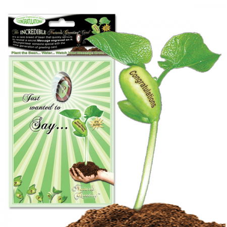 NG Card Congratulations