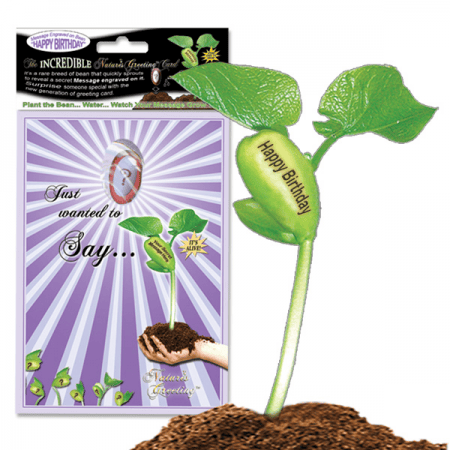 NG Card Happy Birthday