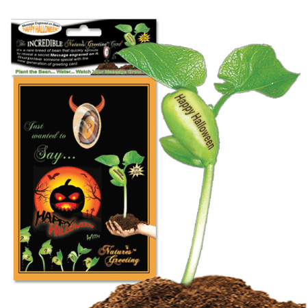 NG Card Happy Halloween