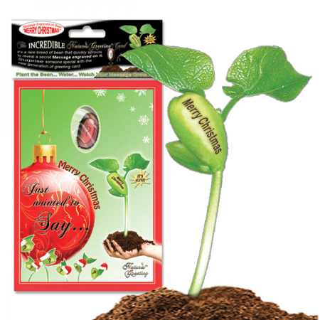 NG Card Merry Christmas