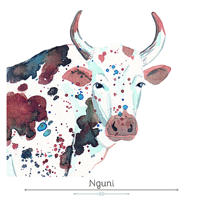 Nguni Product Display Card