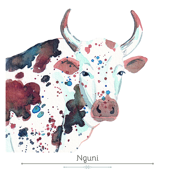 Nguni Product Display Card