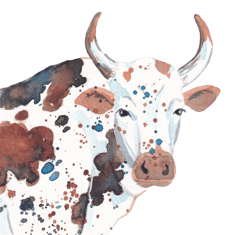 Nguni