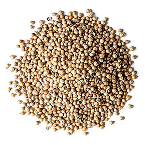 NTB51008 : North Bay Coriander / Dhaniya Whole 5LB