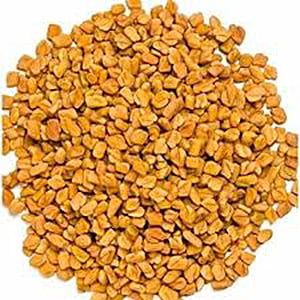 NTB51014: North Bay Fenugreek / Methi Seeds 5 LBS