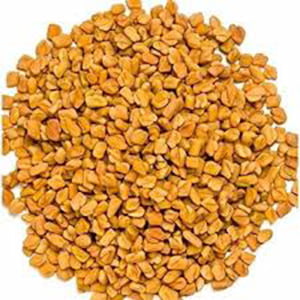 NTB51014: North Bay Fenugreek / Methi Seeds 5 LBS