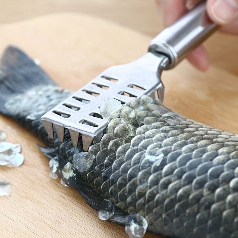FISH SCALES SCRAPER SCALES REMOVER