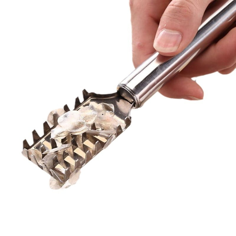 FISH SCALES SCRAPER SCALES REMOVER