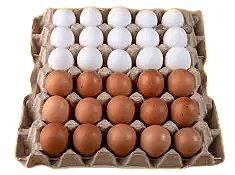Fresh Eggs-White and brown