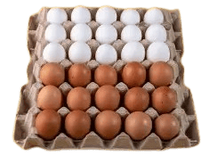 Fresh Eggs-White and brown