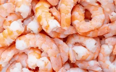 Shrimp=WITH OPTIONS