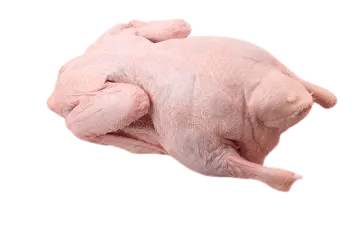 Duck ((Whole, Wings, Lap, Breast, Gizzard, Heart))