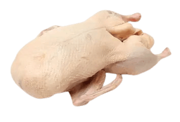 Geese (Whole, Wings, Lap, Breast, Gizzard, Heart)