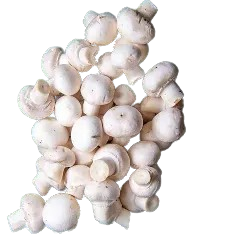 Mushroom-150g wet/dry=PRICE OPTIONS
