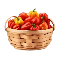 Rodo pepper red/green/yellow=PRICE OPTIONS