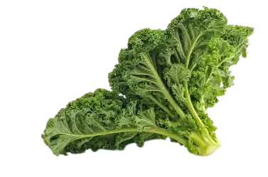 Kale bundle