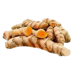 Turmeric seed-4L