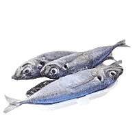 Panla Fish (Hake)=WITH OPTIONS