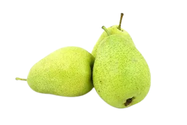 Choose option=WITH OPTIONS