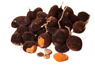 Velvet Tamarind-Awin=WITH OPTIONS