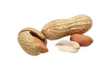 Groundnut 4 L (Raw)