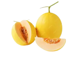 Golden melonⅩ12