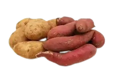 Sweet potato-White/Red=PRICE OPTIONS