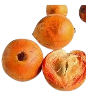 Agbalumo/Udara/African Star Apple x5