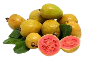 Guavax5