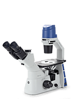 Oxion Inverso (fluorescence)